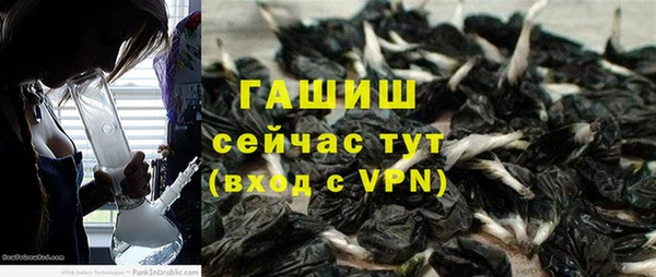 гидра Алексин