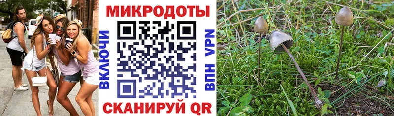 Галлюциногенные грибы мухоморы  закладка  Евпатория 