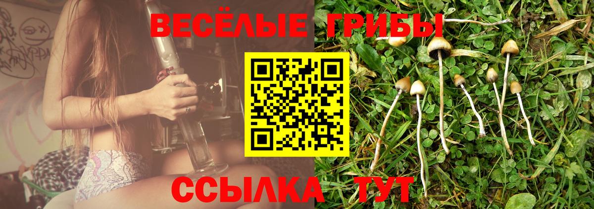 Псилоцибиновые грибы GOLDEN TEACHER Евпатория