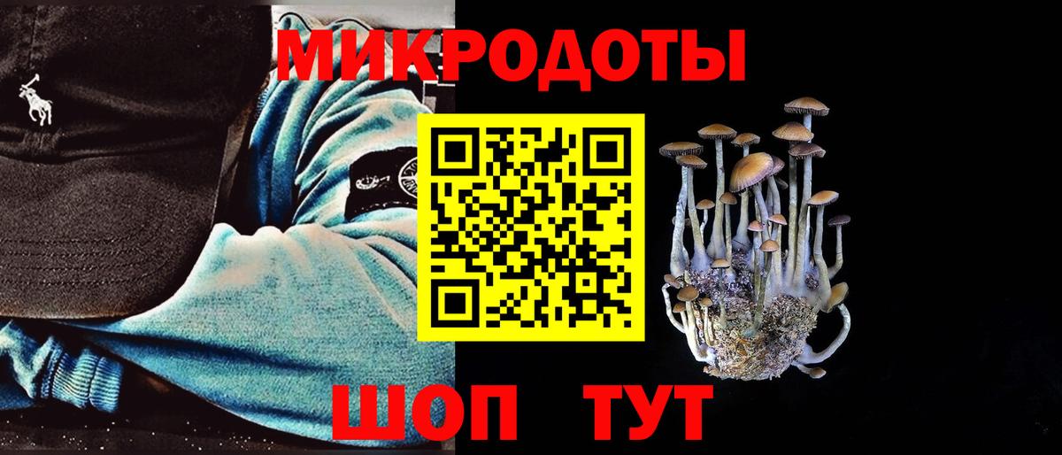 Галлюциногенные грибы Cubensis  Псилоцибиновые грибы ЛСД  Евпатория  Вход с VPN 