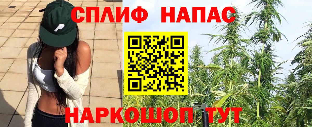 Каннабис план Евпатория